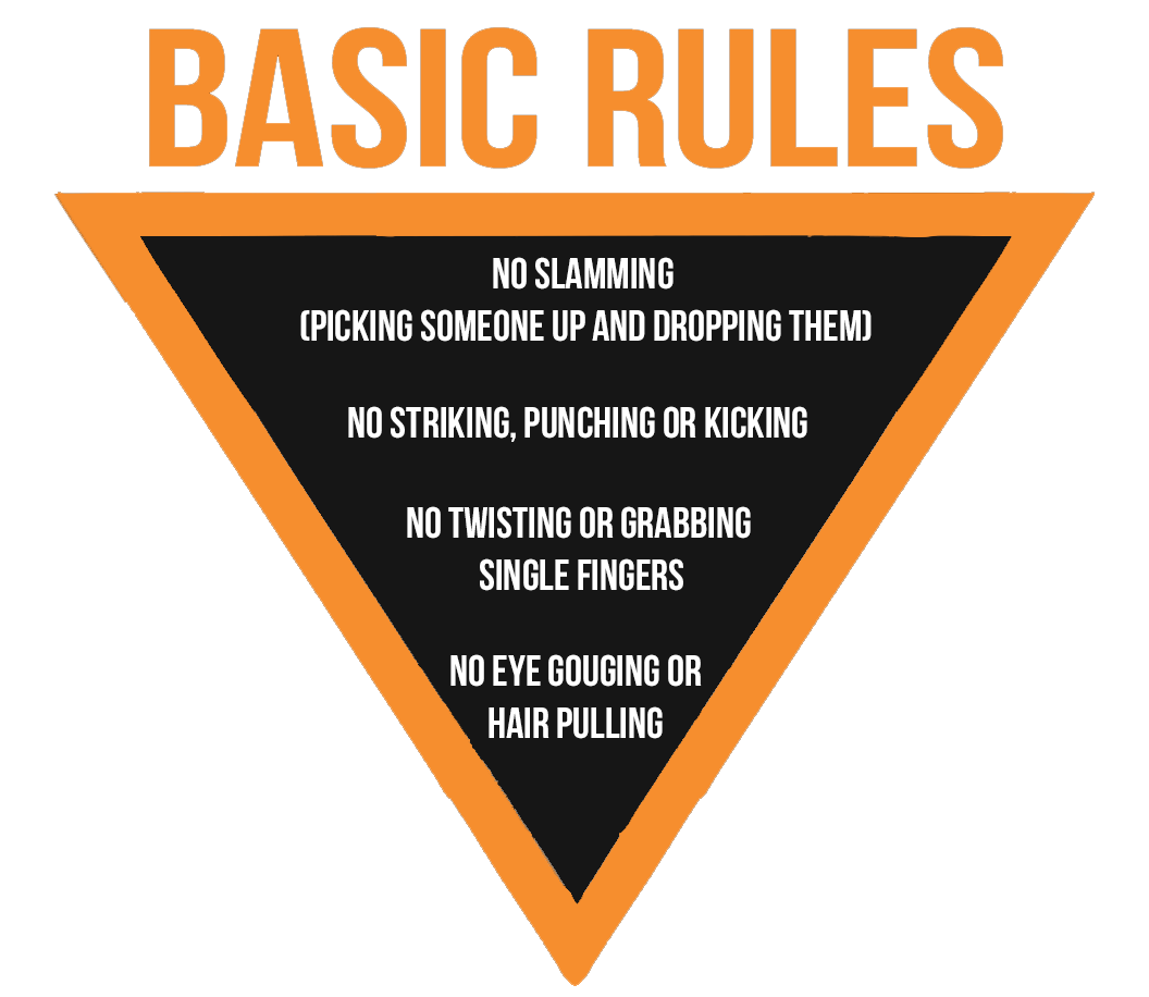 BJJ Basic Regeln